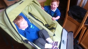 double buggy farewell