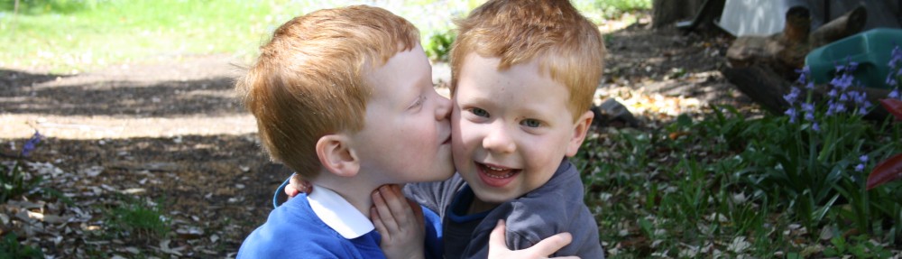 blood, sweat and twins